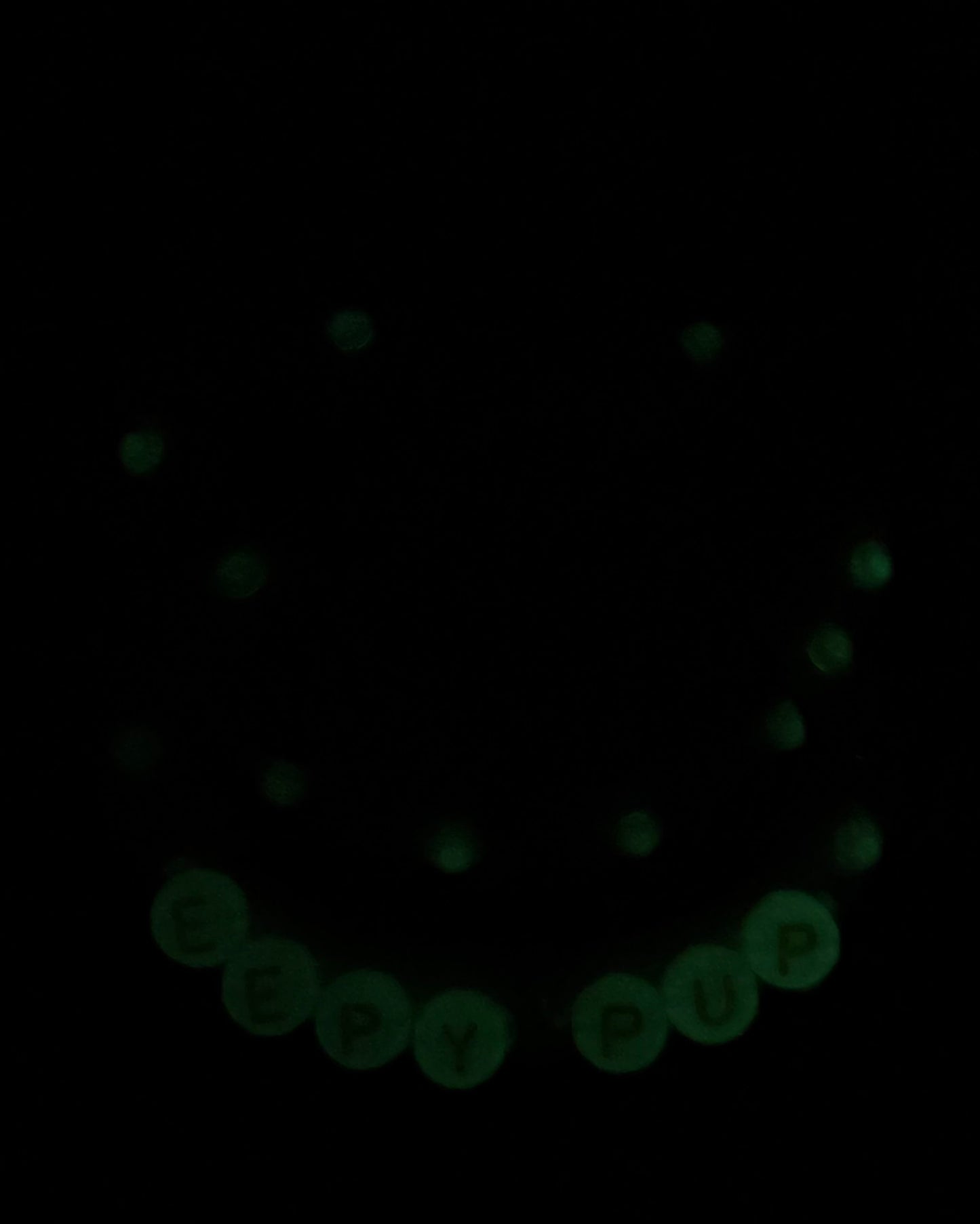 “Eepy Pup” Adult Pacifier