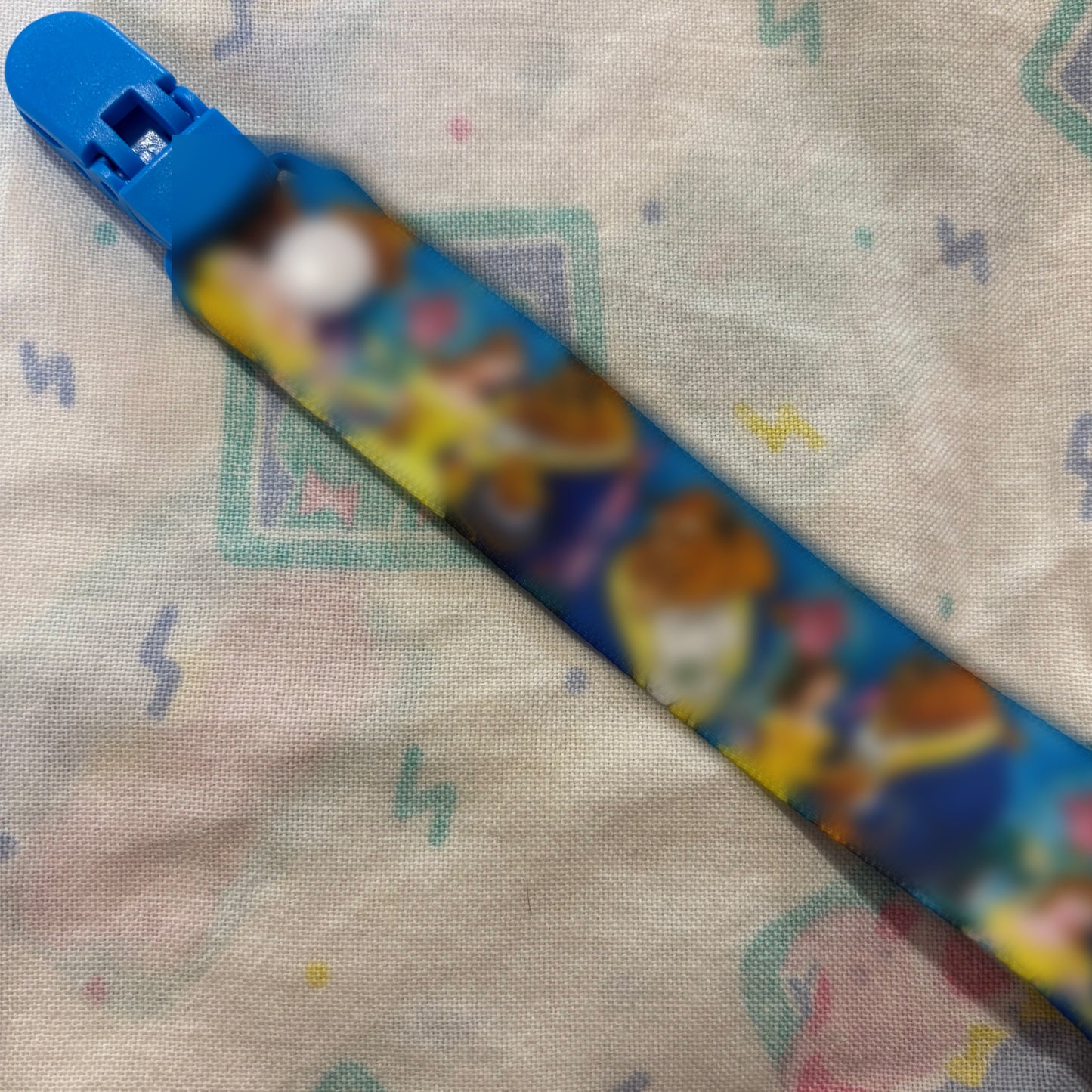 Assorted Adult Pacifier Clips 10